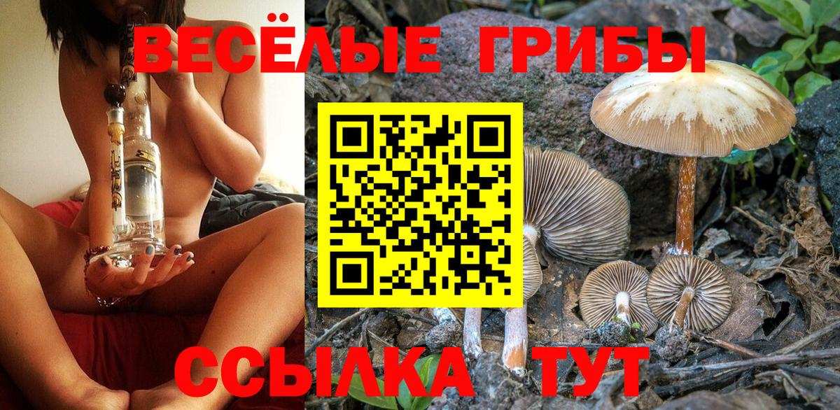 Волгоград  Галлюциногенные грибы ЛСД  Вход с VPN 